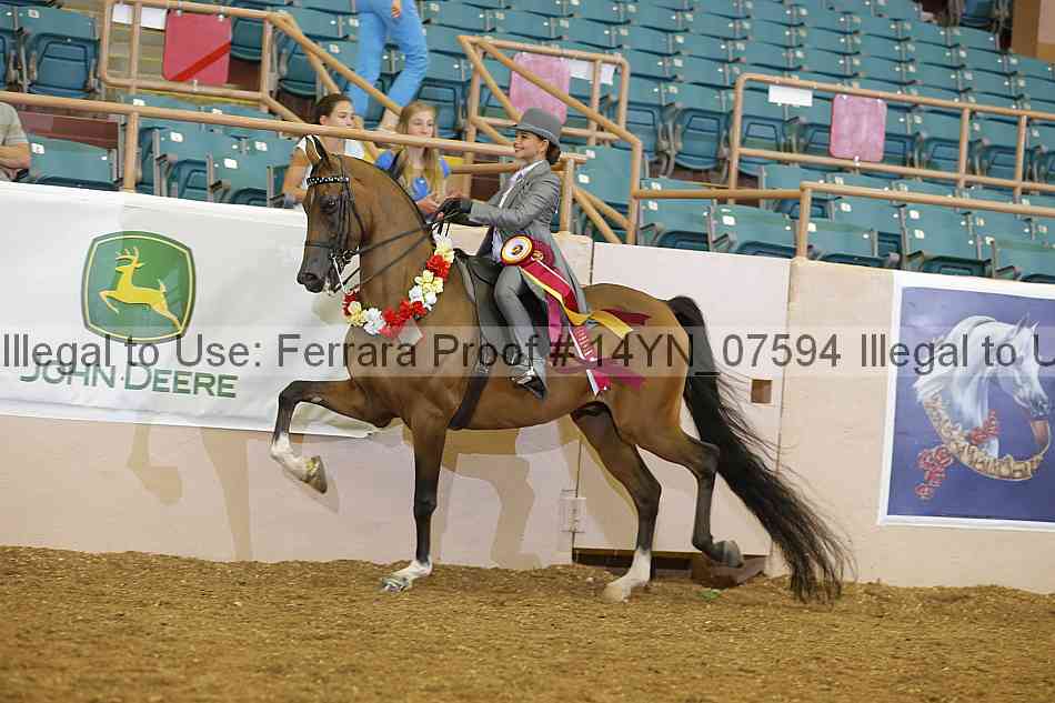 Proof 14yn_07594