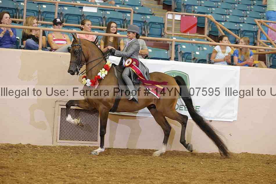 Proof 14yn_07595