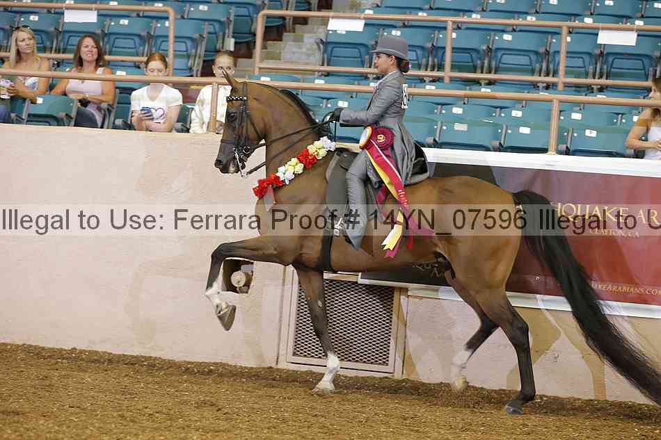 Proof 14yn_07596