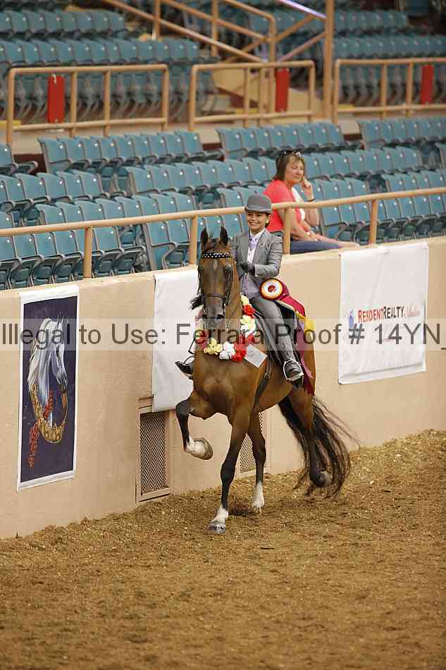 Proof 14yn_07597
