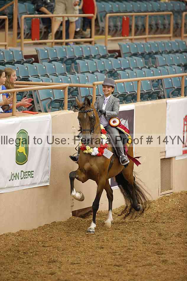 Proof 14yn_07598