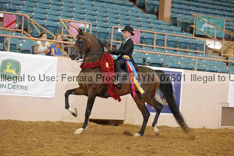 Proof 14yn_07601