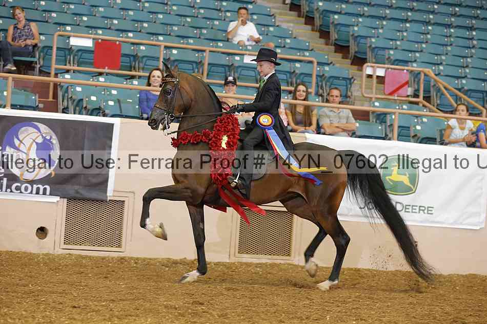 Proof 14yn_07602
