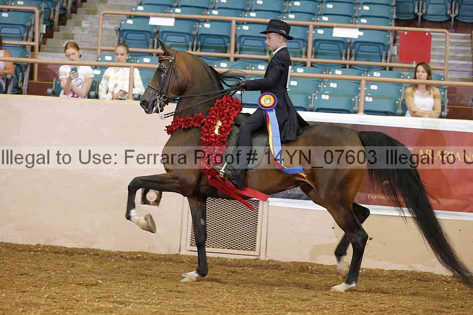 Proof 14yn_07603