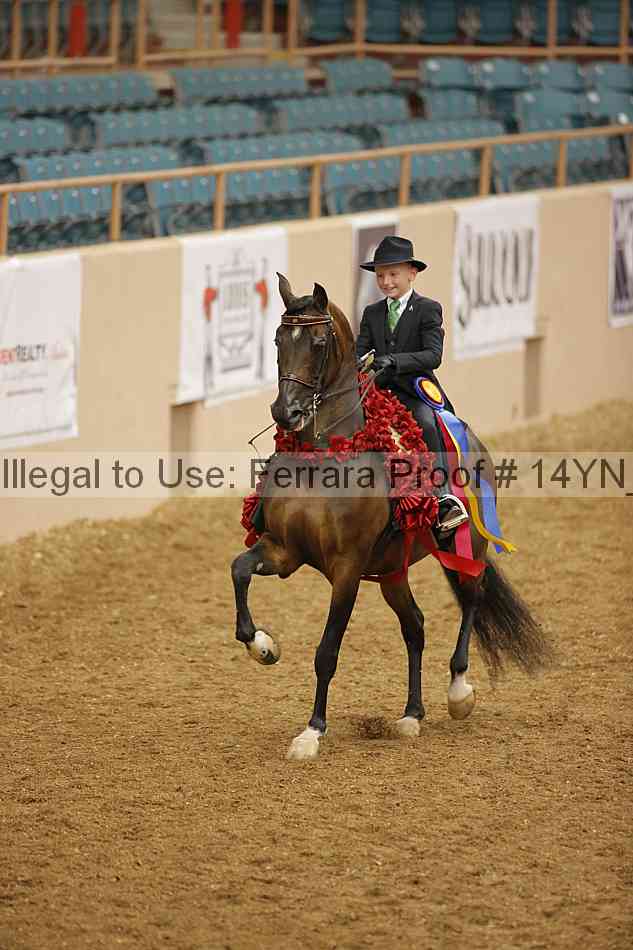 Proof 14yn_07604