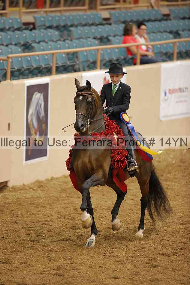 Proof 14yn_07605