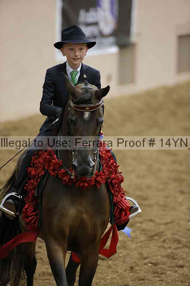 Proof 14yn_07608