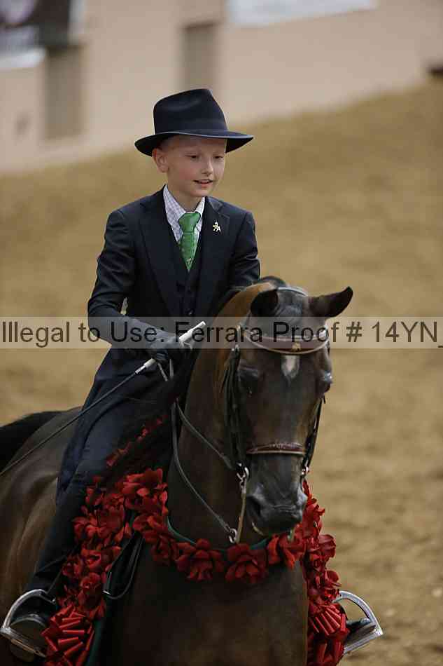 Proof 14yn_07609