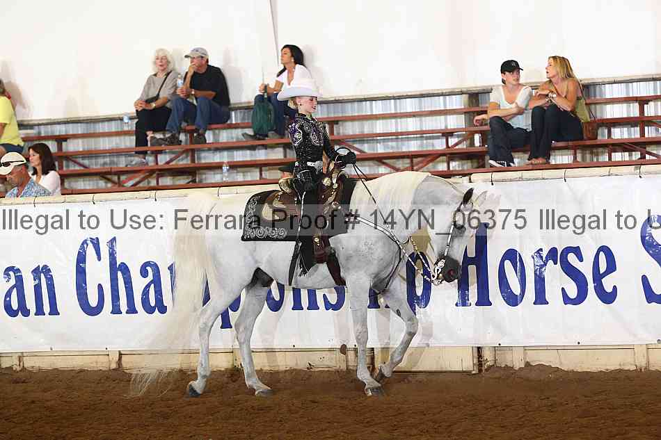 Proof 14yn_06375