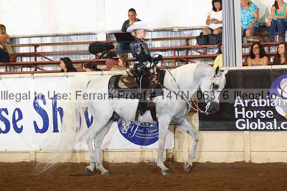 Proof 14yn_06376