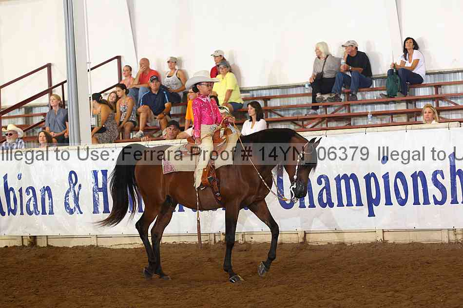 Proof 14yn_06379
