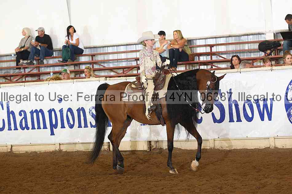 Proof 14yn_06387