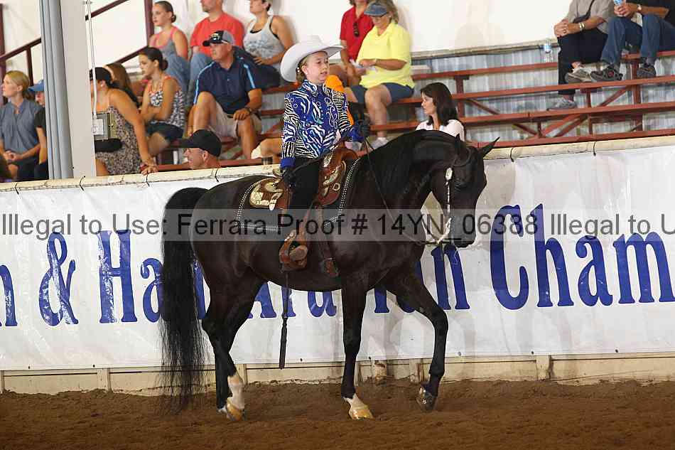 Proof 14yn_06388