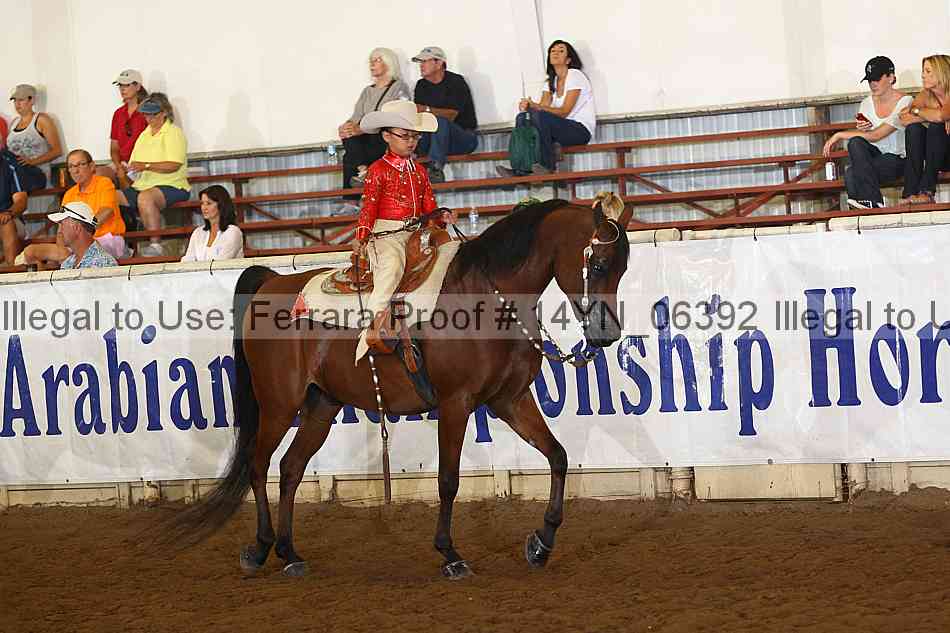 Proof 14yn_06392