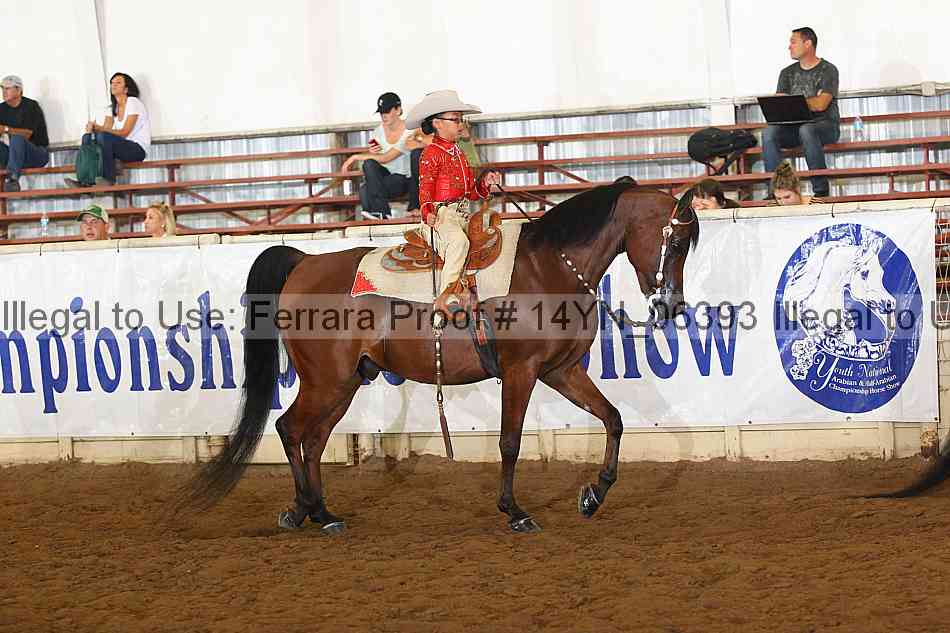 Proof 14yn_06393
