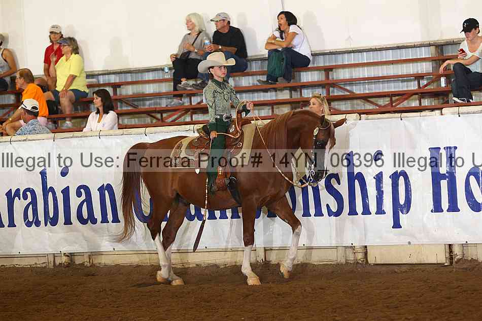 Proof 14yn_06396