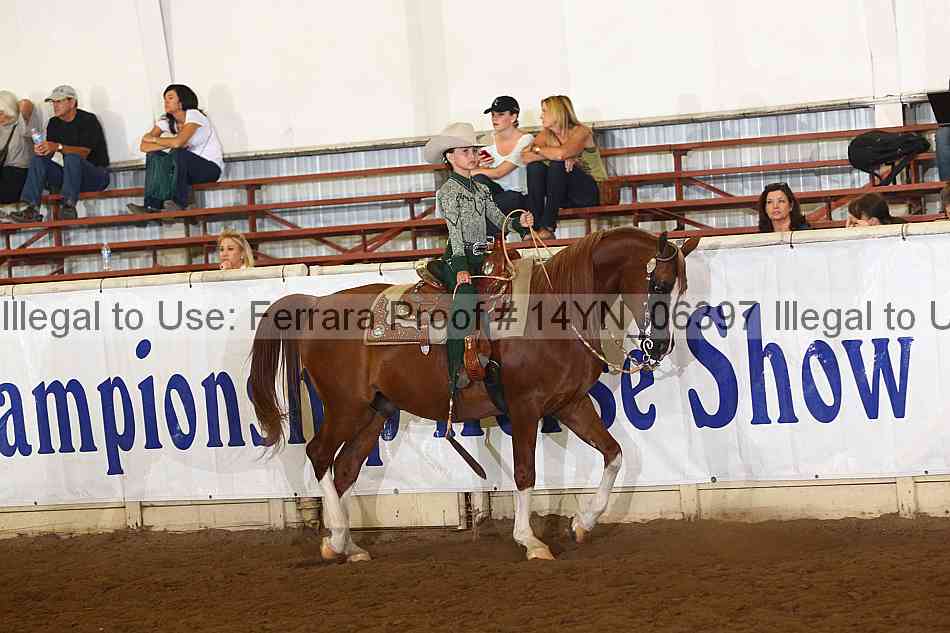 Proof 14yn_06397