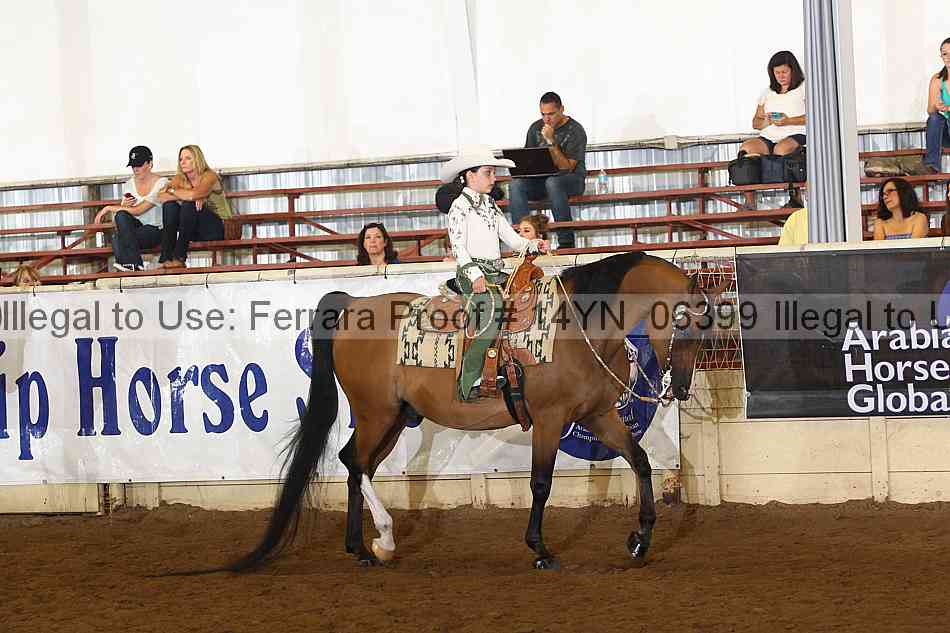 Proof 14yn_06399