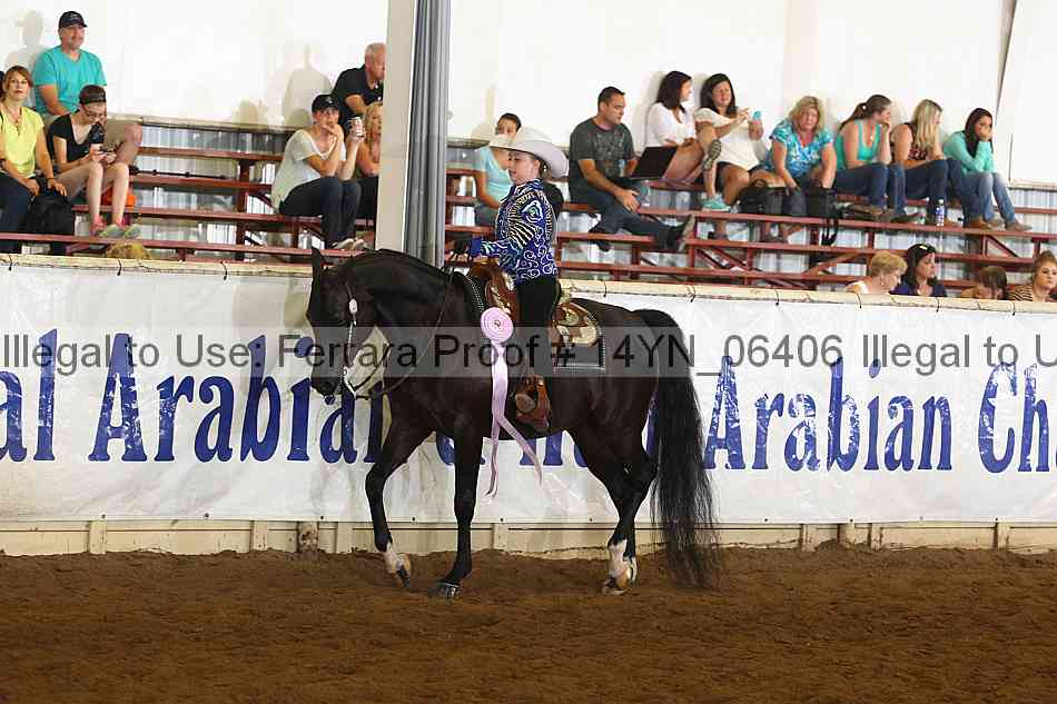 Proof 14yn_06406