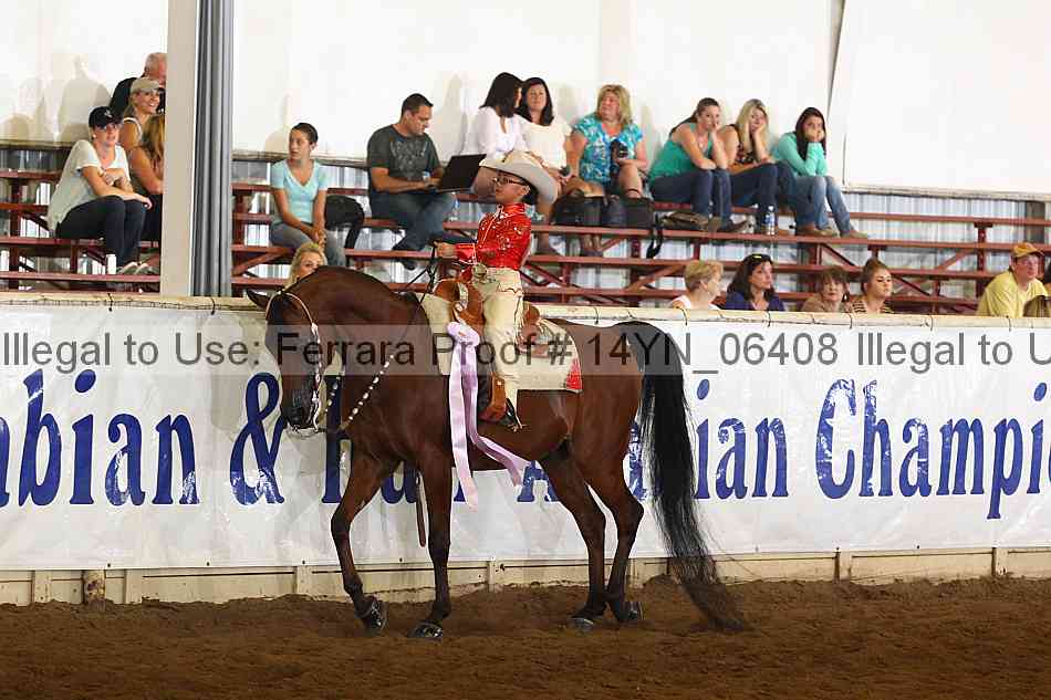 Proof 14yn_06408