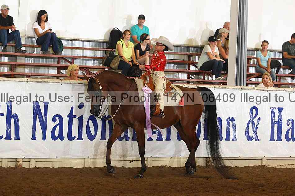 Proof 14yn_06409