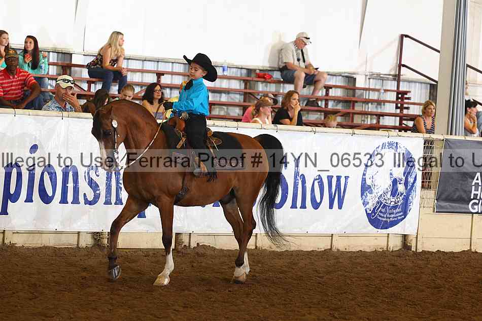 Proof 14yn_06533