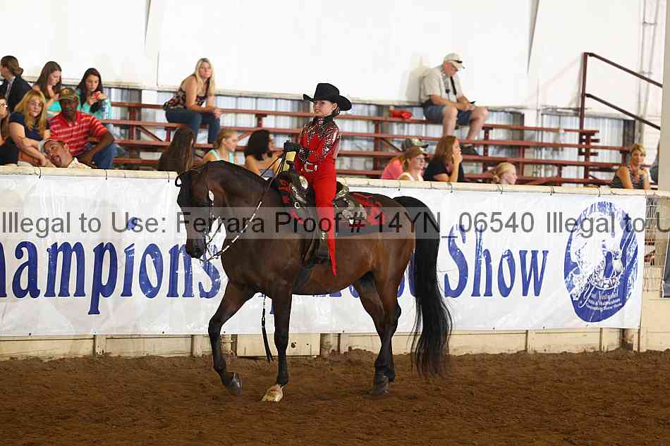Proof 14yn_06540