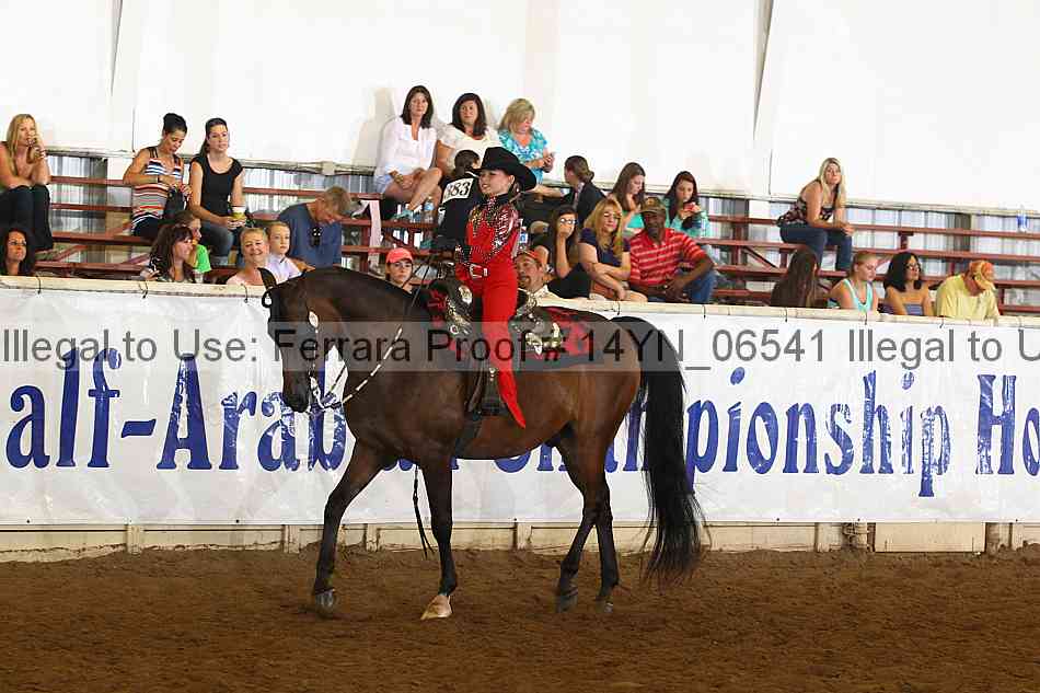 Proof 14yn_06541