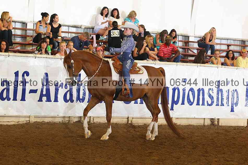 Proof 14yn_06544