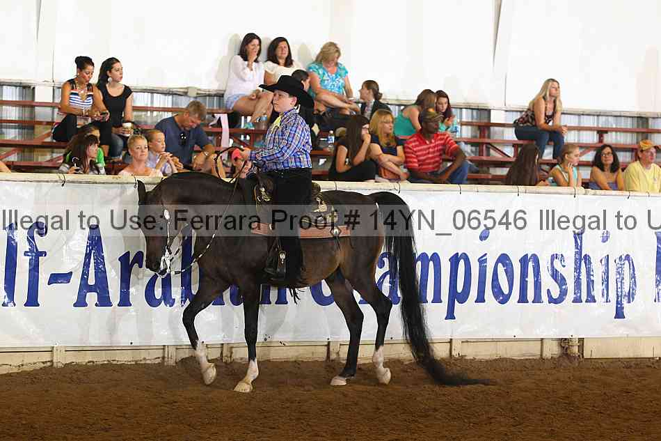 Proof 14yn_06546