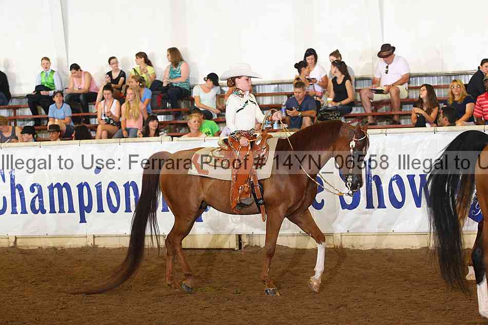 Proof 14yn_06558