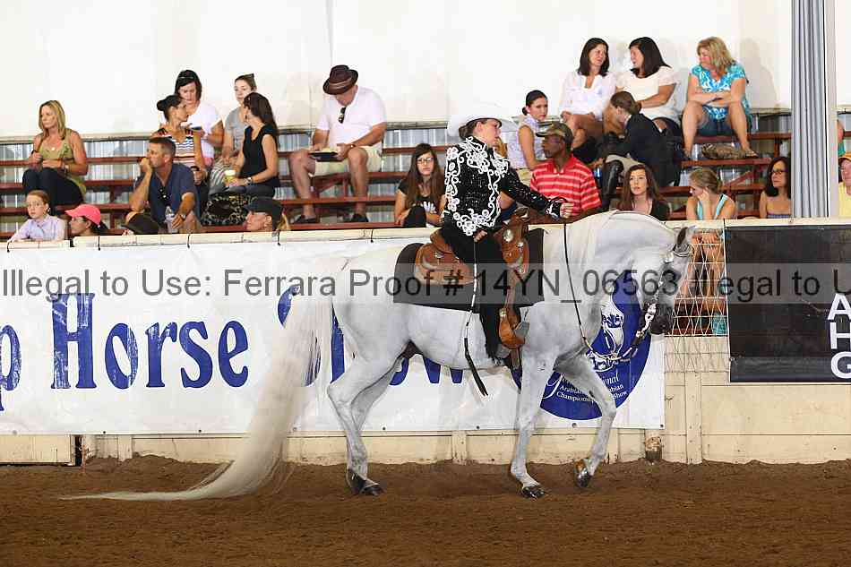 Proof 14yn_06563