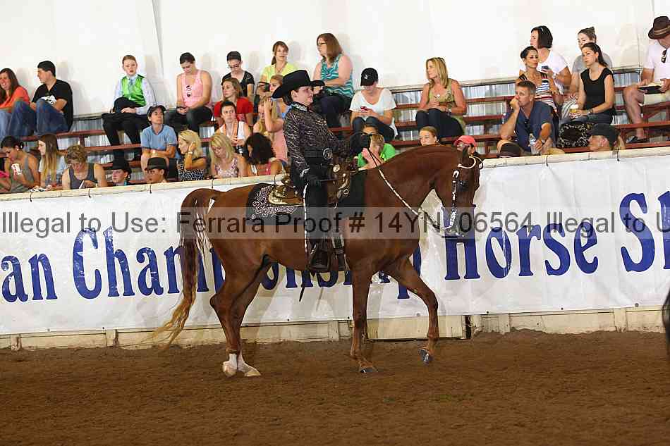 Proof 14yn_06564