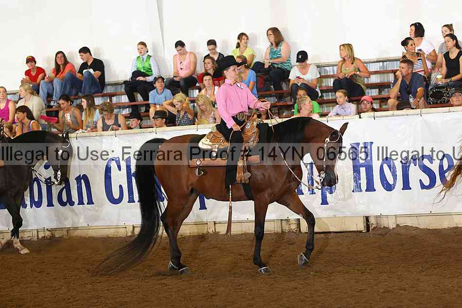 Proof 14yn_06565