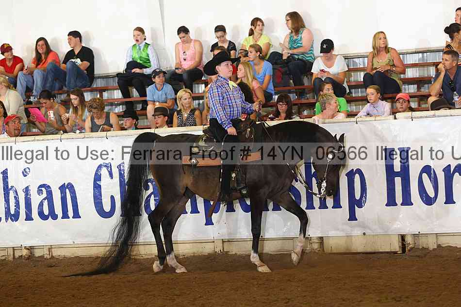 Proof 14yn_06566