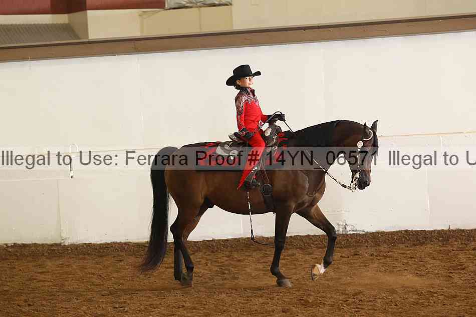 Proof 14yn_06571