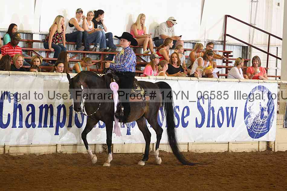 Proof 14yn_06585