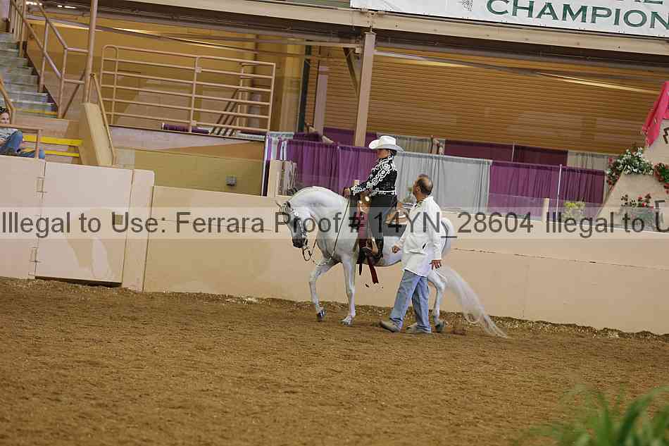 Proof 14yn_28604