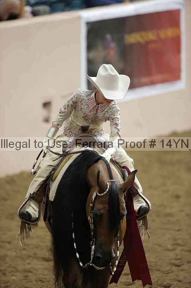 Proof 14yn_28707