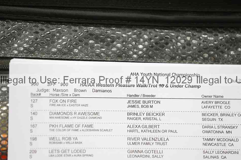 Proof 14yn_12029