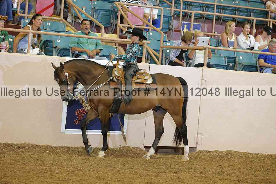 Proof 14yn_12048