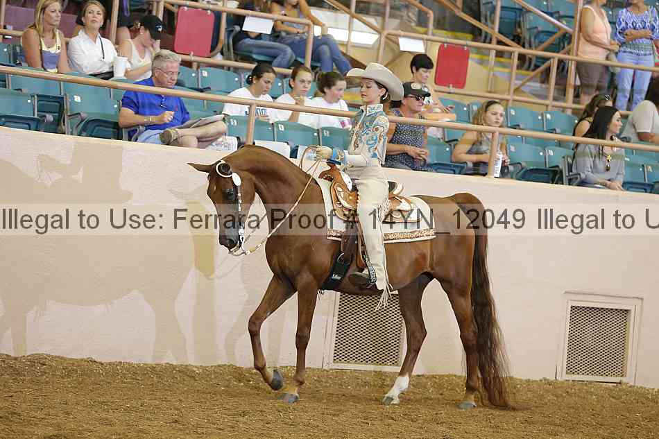 Proof 14yn_12049