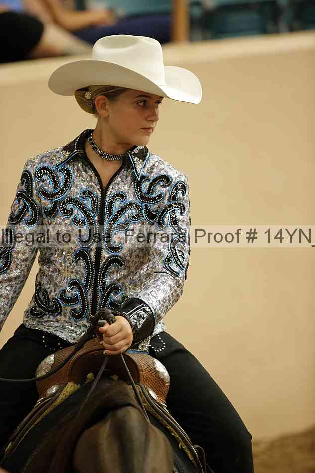 Proof 14yn_12055