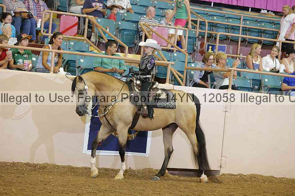Proof 14yn_12058