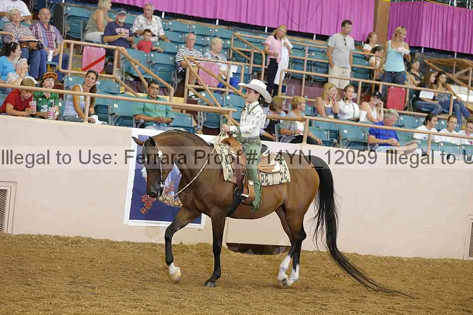 Proof 14yn_12059