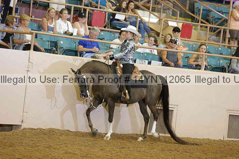 Proof 14yn_12065
