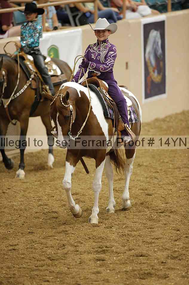 Proof 14yn_12066