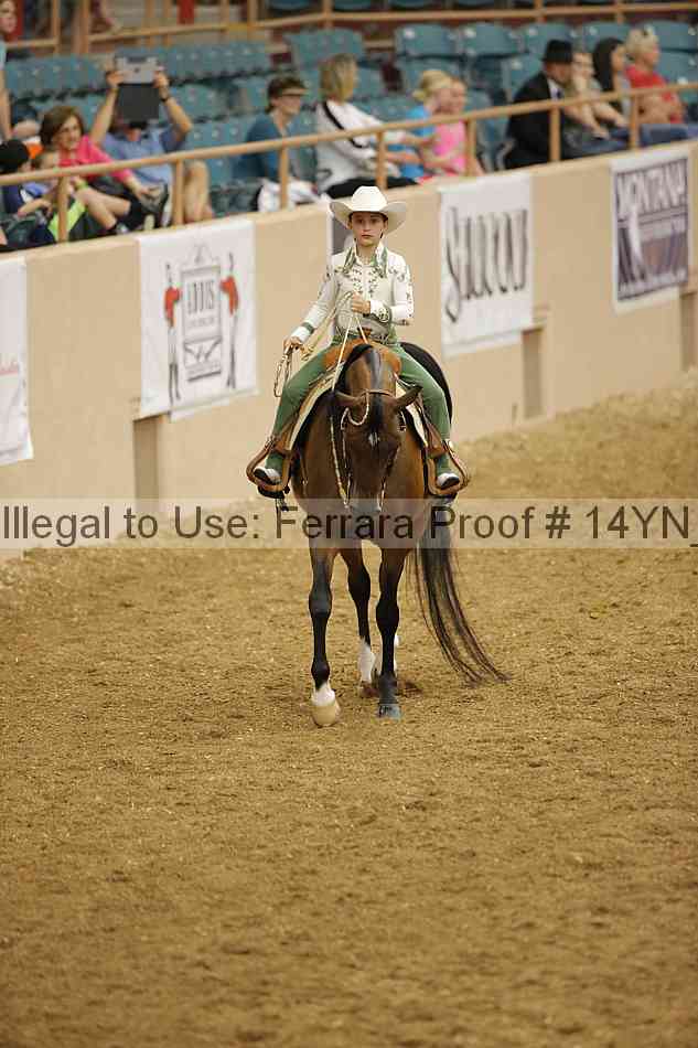 Proof 14yn_12078