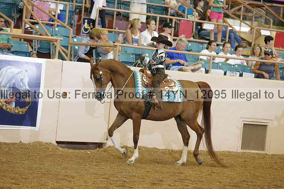 Proof 14yn_12095