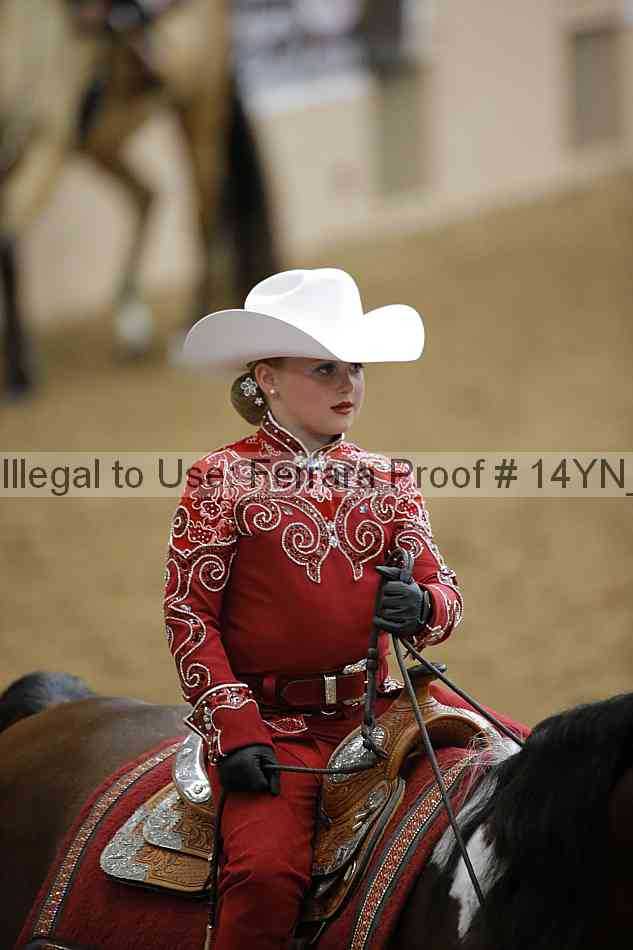 Proof 14yn_12115